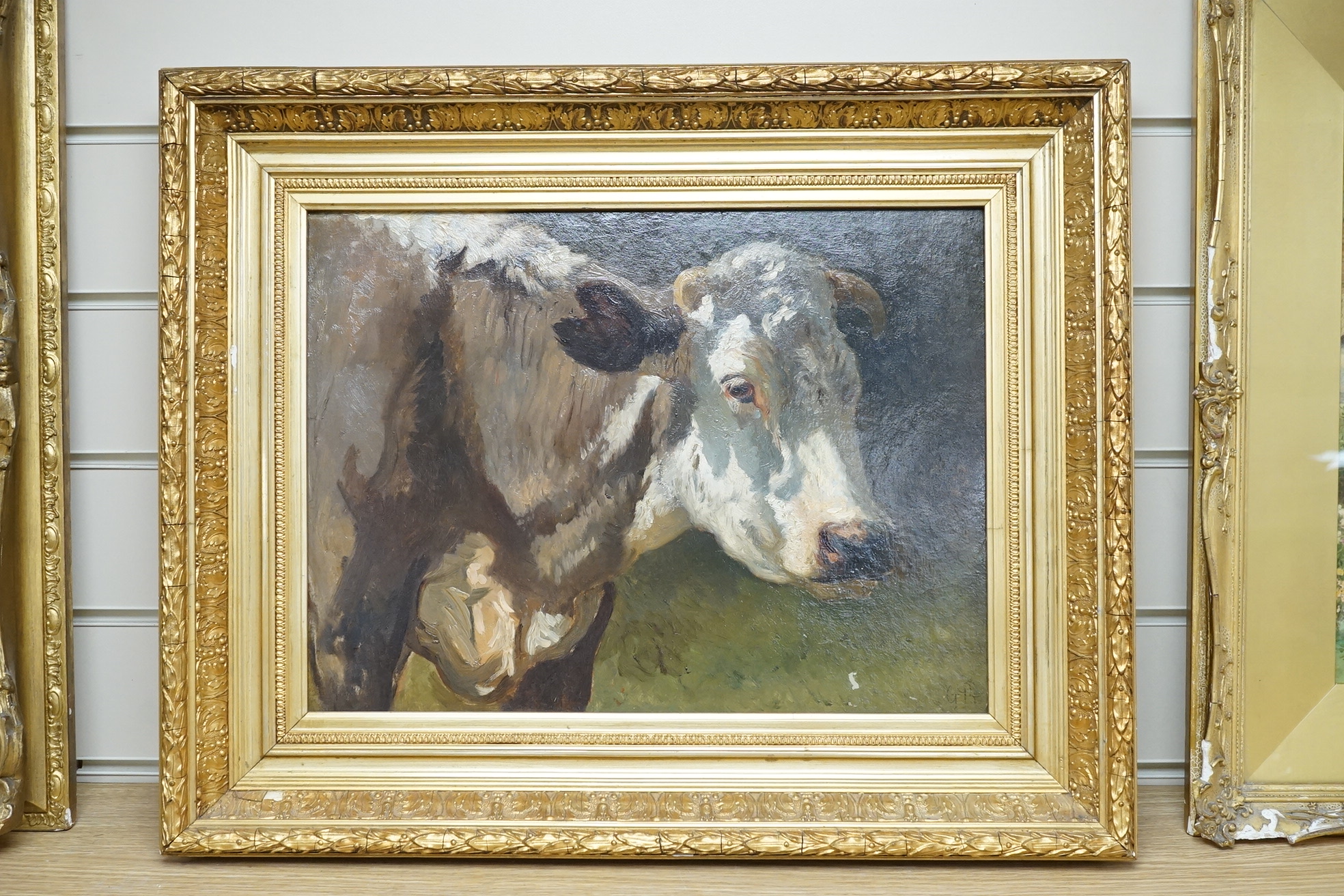 Impressionist oil on board, Study of a cow, initialled G B, 29 x 39cm, ornate gilt frame. Condition - good